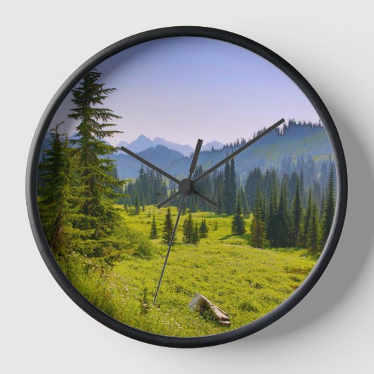 Staat in de berg- en bosbouw in Washington (Voorkant)