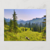 Staat in de berg- en bosbouw in Washington Briefkaart (Voorkant)