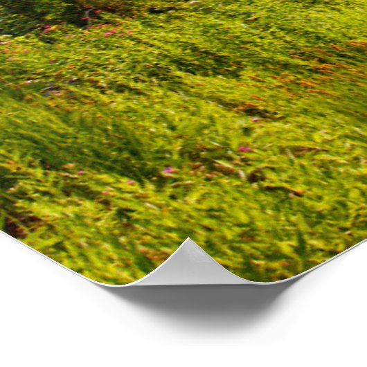 Staat in de berg- en bosbouw in Washington Poster (Hoek)