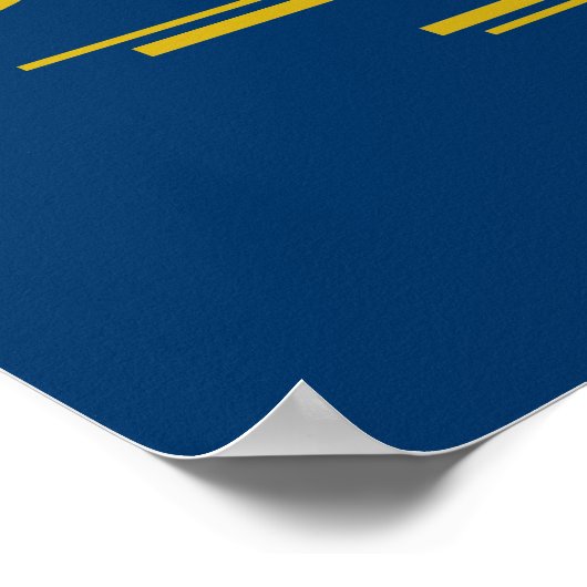 Staat Israël Poster (Hoek)