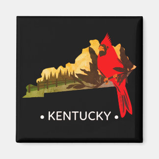staat Kentucky Magnet