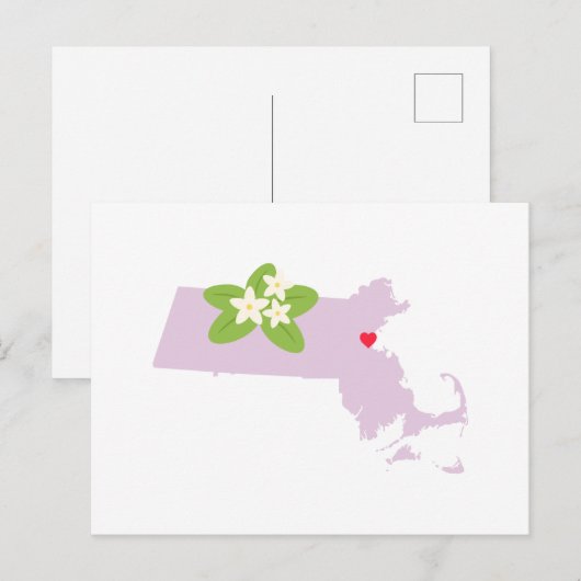 Staat Massachusetts Briefkaart (Voorkant / Achterkant)