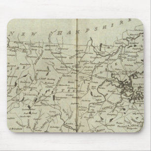 Staat Massachusetts Muismat