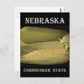 Staat Nebraska Cornhusker Briefkaart (Voorkant / Achterkant)