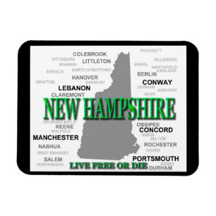 Staat New Hampshire Magneet