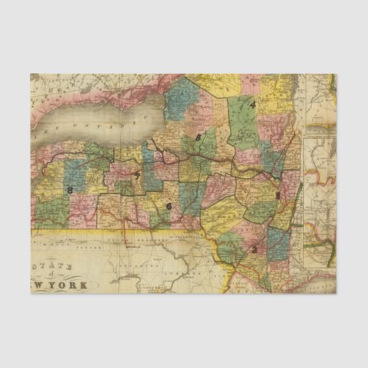 Staat New York door DH Burr Tissuepapier (Voorkant)