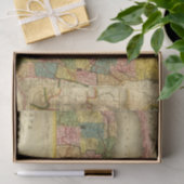 Staat New York door DH Burr Tissuepapier (Geschenk)