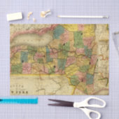 Staat New York door DH Burr Tissuepapier (Craft)