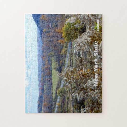 Staat New York Legpuzzel (Verticaal)