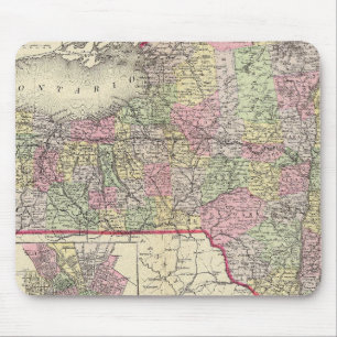 Staat New York Muismat