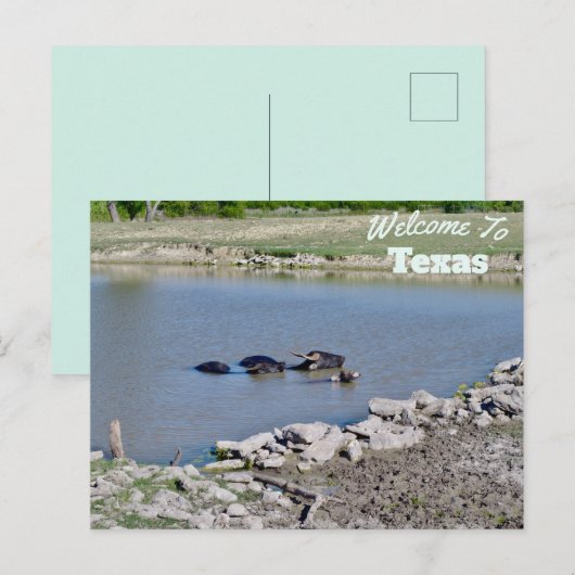 staat Texas Briefkaart (Voorkant / Achterkant)