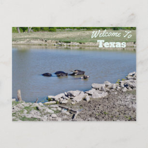 staat Texas Briefkaart