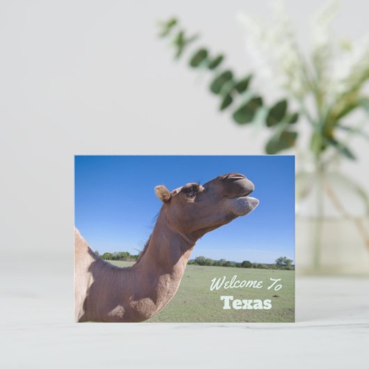 staat Texas Briefkaart (Staand voorkant)
