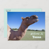 staat Texas Briefkaart (Voorkant / Achterkant)