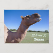 staat Texas Briefkaart (Voorkant)