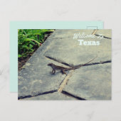 staat Texas Briefkaart (Voorkant / Achterkant)