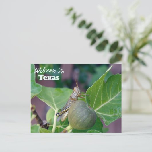staat Texas Briefkaart (Staand voorkant)