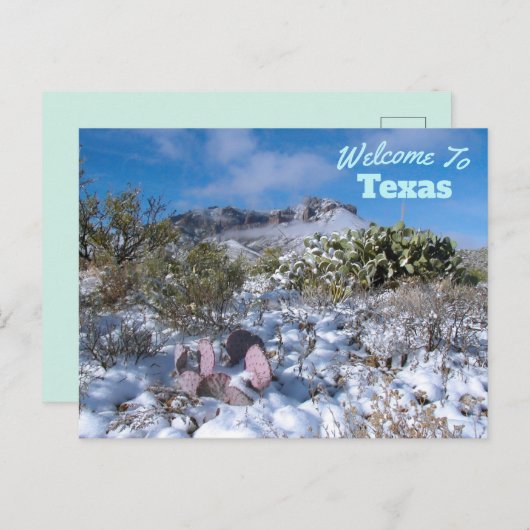 staat Texas Briefkaart (Voorkant / Achterkant)