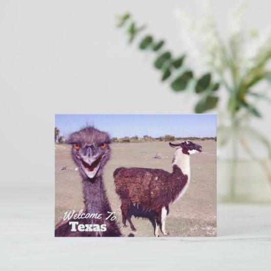 staat Texas Briefkaart (Staand voorkant)