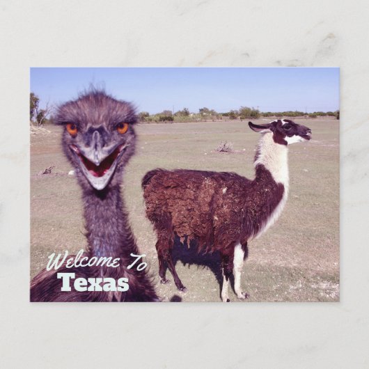 staat Texas Briefkaart (Voorkant)