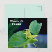 staat Texas Briefkaart (Voorkant / Achterkant)