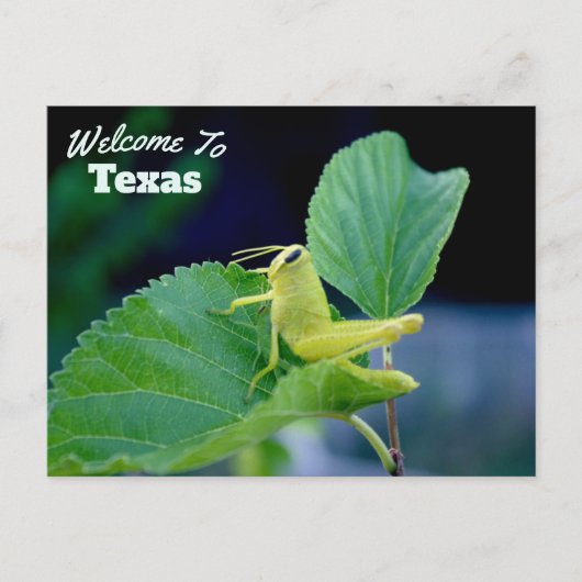 staat Texas Briefkaart (Voorkant)
