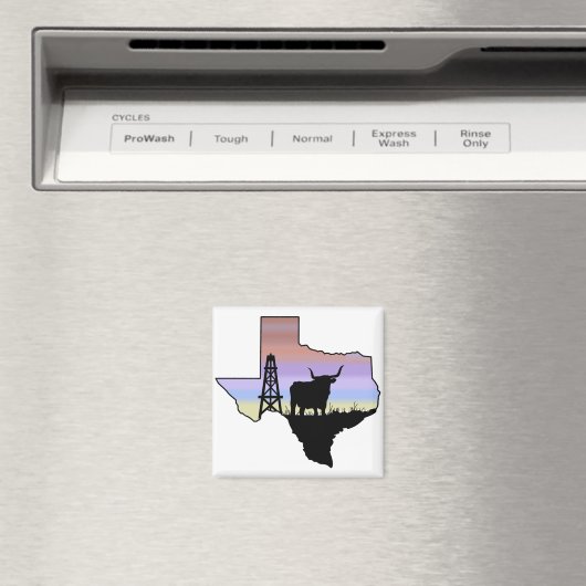 staat Texas Magneet (Insitu (Vaatwasser))