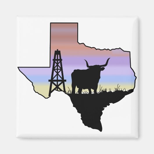 staat Texas Magneet (Voorkant)