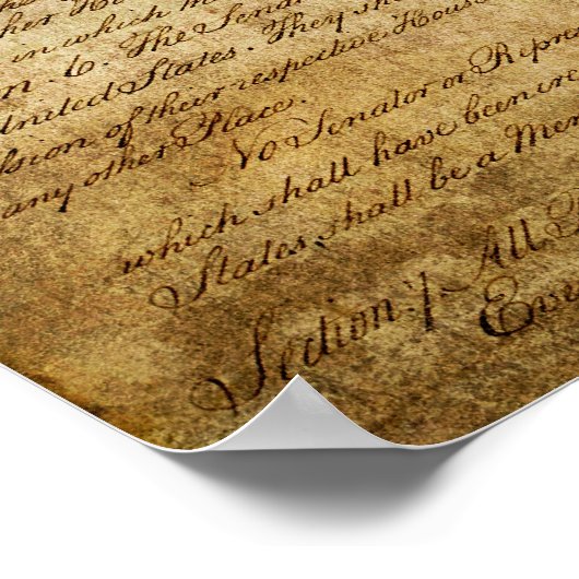 staat Texas Poster (Hoek)