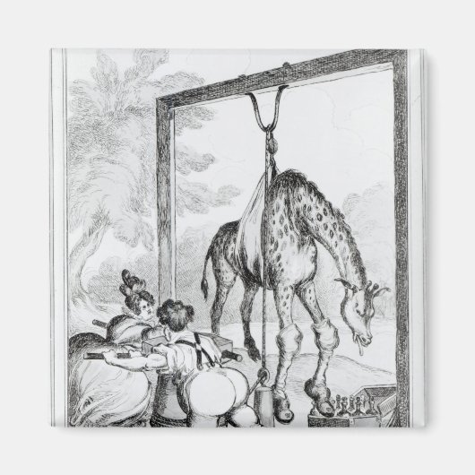 Staat van de Giraffe, 1829 Magneet (Voorkant)