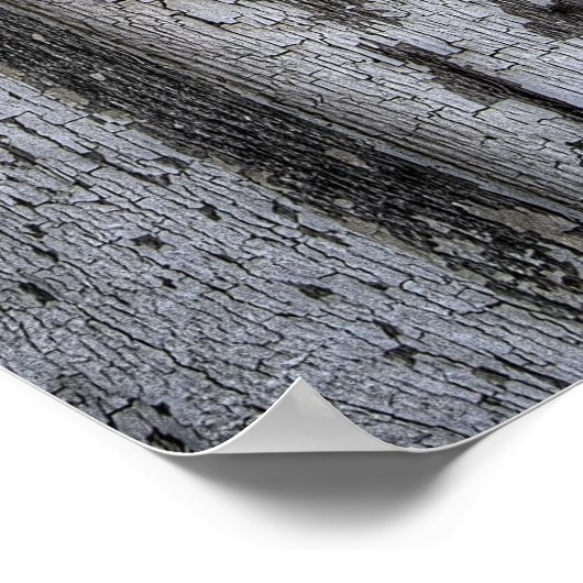 STAAT VAN DE KARKTE VAN TEXAS POSTER (Hoek)