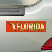 STAAT VAN FLORIDA BUMPERSTICKER (Op auto)