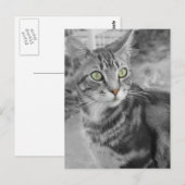 Staat van het Wonderment Briefkaart (Voorkant / Achterkant)