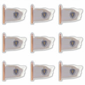 Staat van Massachusetts Vlag Sticker (Voorkant)