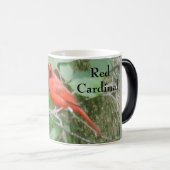 STAAT VAN OHIO BIRD RED CARDINAL MAGISCHE MOK (Voorkant rechts)