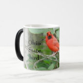 STAAT VAN OHIO BIRD RED CARDINAL MAGISCHE MOK (Voorkant links)