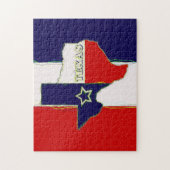 STAAT VAN TEXAS LEGPUZZEL (Verticaal)