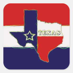 STAAT VAN TEXAS VIERKANTE STICKER