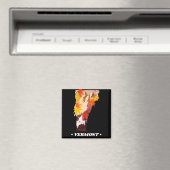  staat Vermont Magnet (Insitu (Vaatwasser))