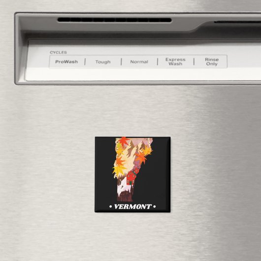  staat Vermont Magnet (Insitu (Vaatwasser))
