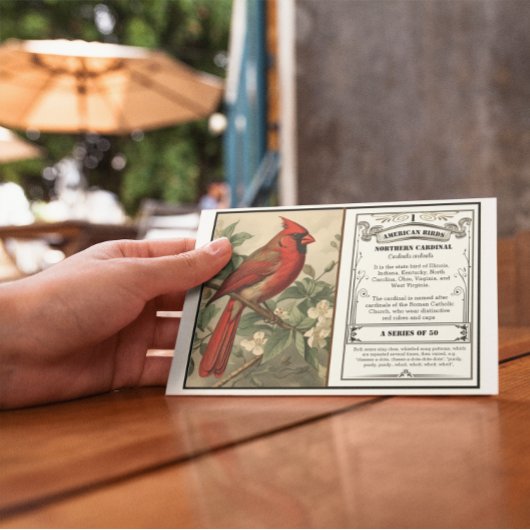 Staat Vogel Collectie, Kardinaal, aanpasbaar Bedankkaart