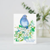 Staat vogel van Idaho Mountain Bluebird Briefkaart (Staand voorkant)