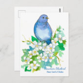 Staat vogel van Idaho Mountain Bluebird Briefkaart (Voorkant / Achterkant)
