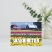 Staat Washington | Tulpenveld | Gefeliciteerd Briefkaart (Staand voorkant)