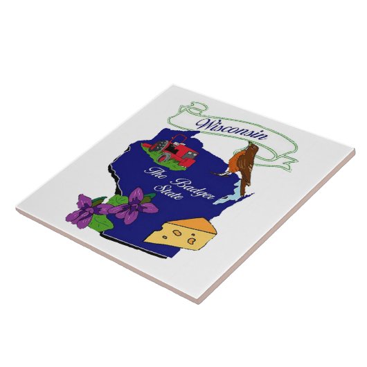 Staat Wisconsin Tegeltje (Zijkant)