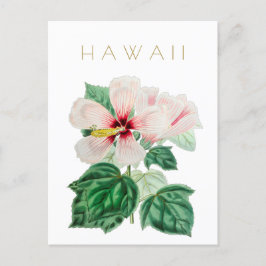  staatsbloem in Hawaii: middeleeuwse pols Briefkaart