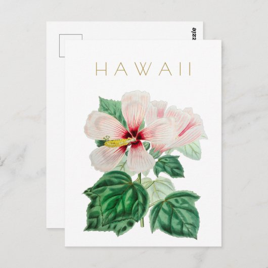 staatsbloem in Hawaii: middeleeuwse pols Briefkaart (Voorkant / Achterkant)