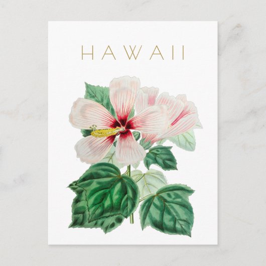  staatsbloem in Hawaii: middeleeuwse pols Briefkaart (Voorkant)