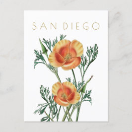  staatsbloem in San Diego: midden eeuw Briefkaart