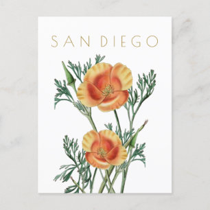  staatsbloem in San Diego: midden eeuw Briefkaart